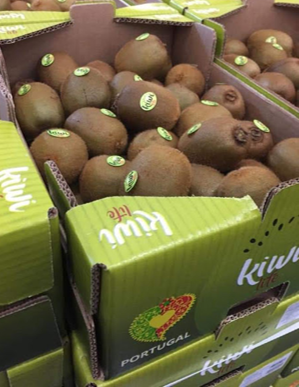 Serviços Kiwilife